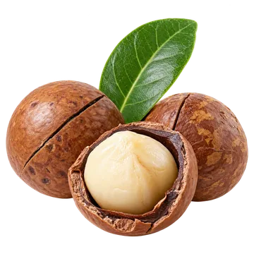 Dầu mắc-ca